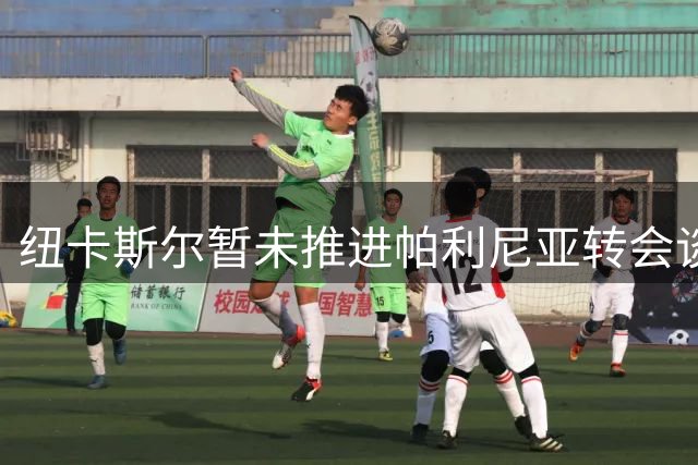 纽卡斯尔暂未推进帕利尼亚转会谈判