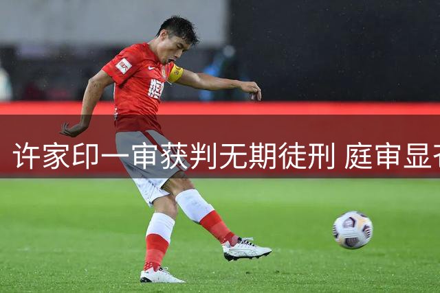 许家印一审获判无期徒刑 庭审显苍老形象引关注